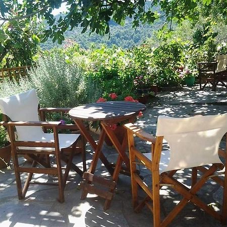 Villa Panayiota Alonnisos Town Luaran gambar