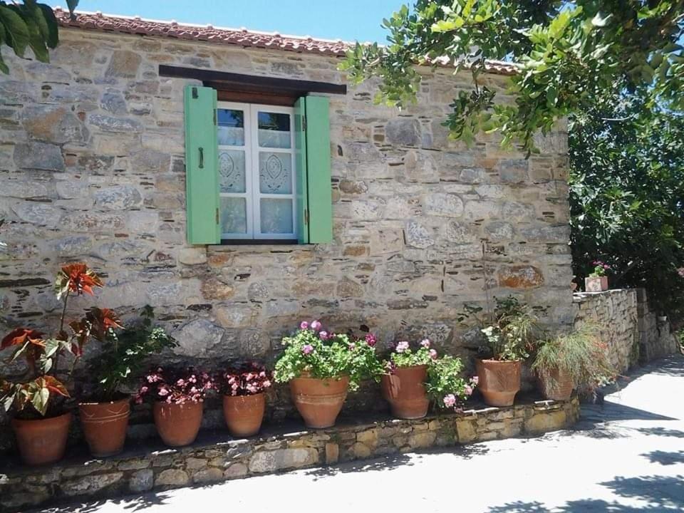 Villa Panayiota Alonnisos Town Luaran gambar