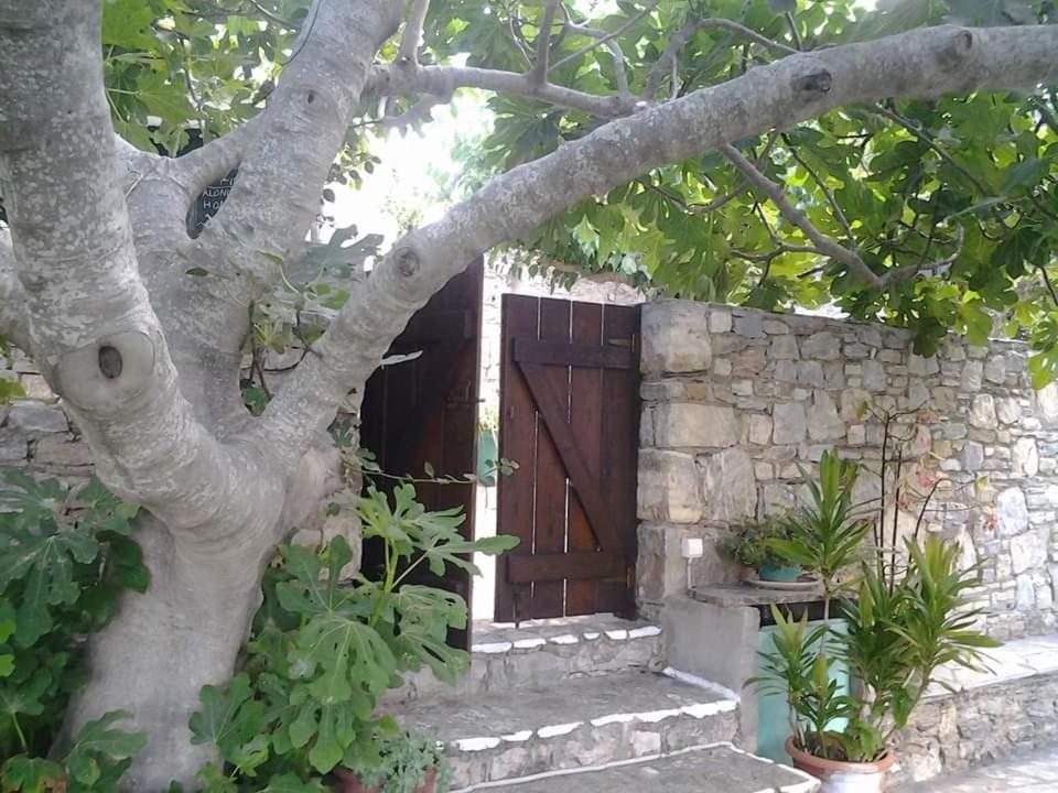 Villa Panayiota Alonnisos Town Luaran gambar