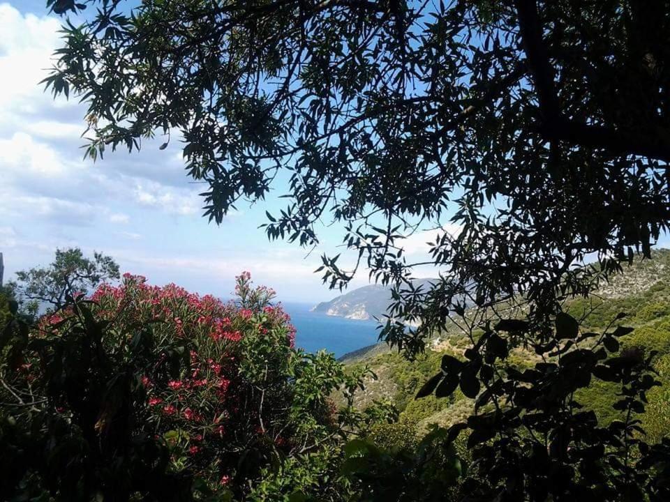 Villa Panayiota Alonnisos Town Luaran gambar