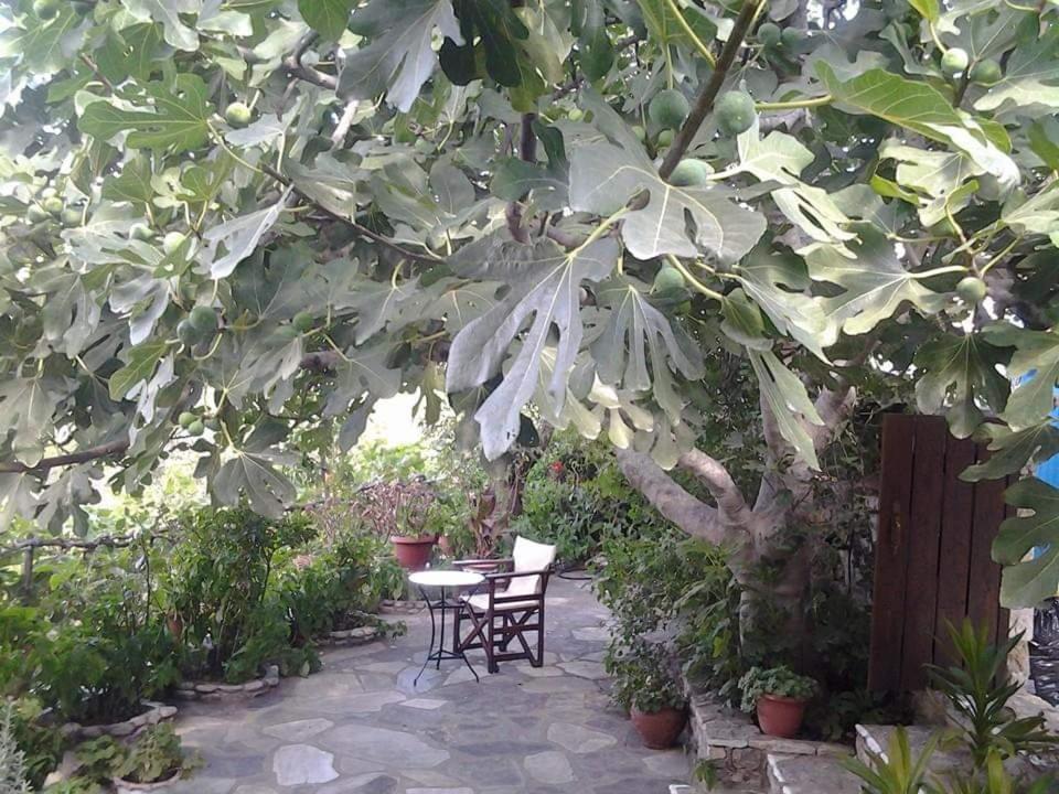 Villa Panayiota Alonnisos Town Luaran gambar